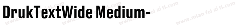 DrukTextWide Medium字体转换